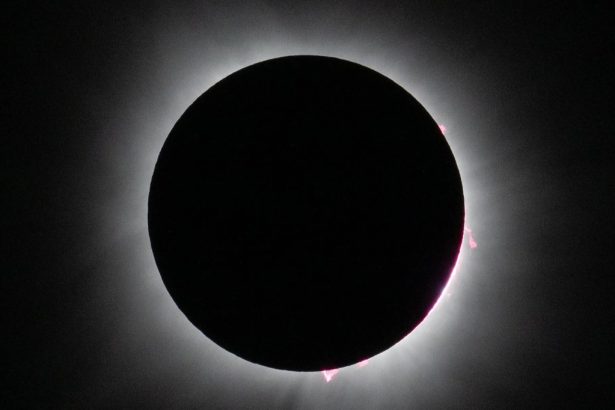A total solar eclipse is seen in Dallas, Texas on Monday, April 8, 2024. A total solar eclipse swept across a narrow portion of the North American continent from Mexico’s Pacific coast to the Atlantic coast of Newfoundland, Canada. A partial solar eclipse was visible across the entire North American continent along with parts of Central America and Europe. Credit: NASA/Keegan Barber